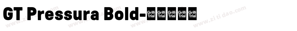 GT Pressura Bold字体转换